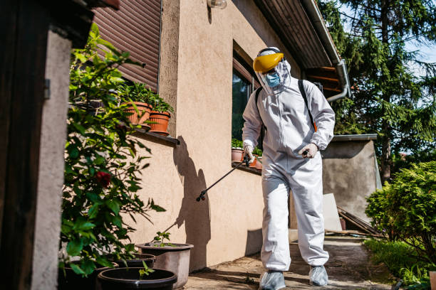 Trusted Black Jack, MO Pest Control Experts