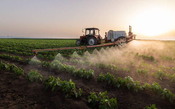 Best Pest Prevention Services  in Black Jack, MO