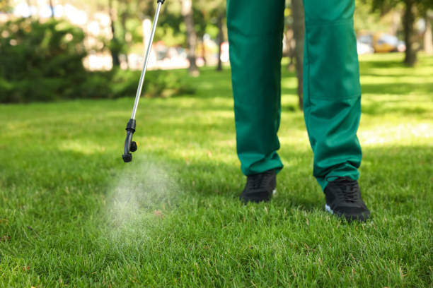 Best Residential Pest Control  in Black Jack, MO