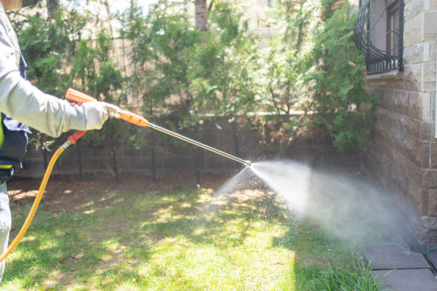 Best Pest Removal Services  in Black Jack, MO