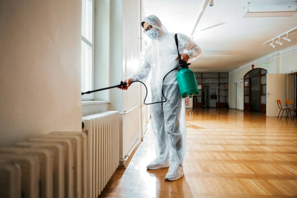 Best Wildlife Control Services  in Black Jack, MO